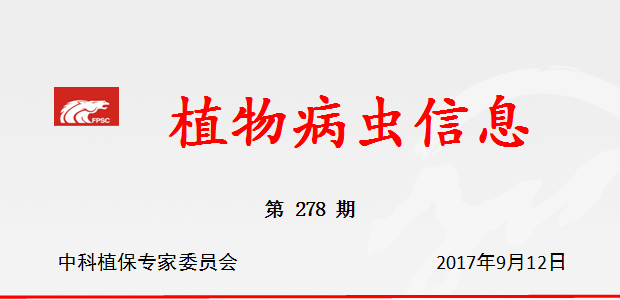 秋播十字花科蔬菜苗期主要病虫害防治意见