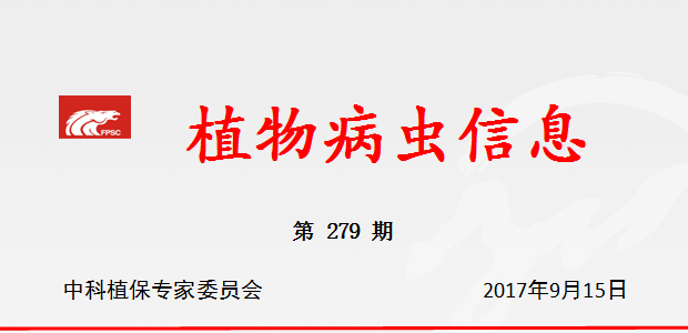 及时抓好茶园茶假眼小绿叶蝉、茶尺蠖等害虫的防治工作