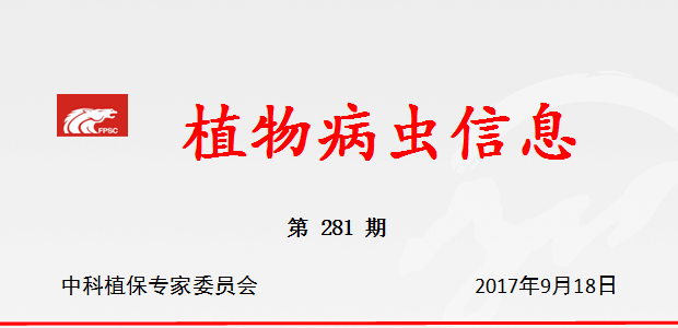 加强秋播油菜苗床病虫害防治工作