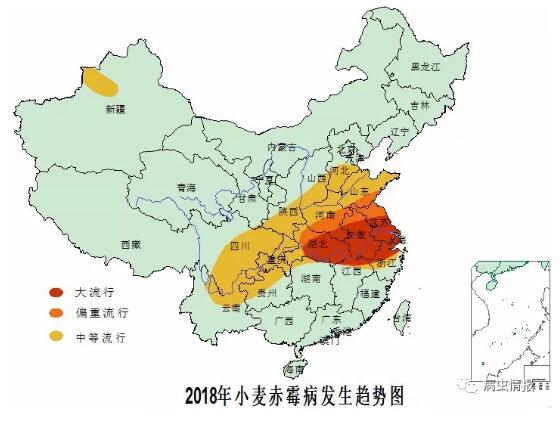 2018年全国小麦主要病虫害明显重于常年