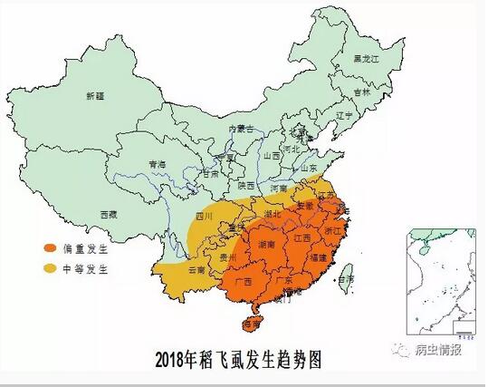 2018年全国水稻主要病虫害呈偏重发生态势