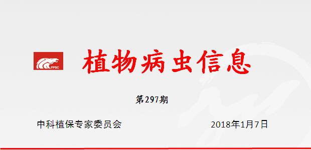 2018年玉米病虫害发生种类多 迁飞性害虫重发风险高