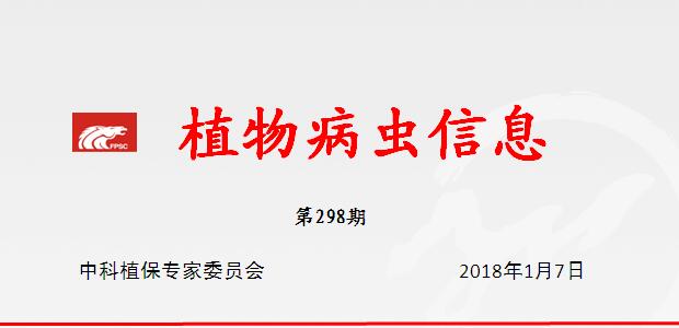 2018年农区蝗虫中等发生 局部存在高密度发生可能