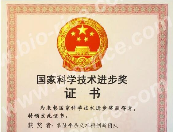  热烈祝贺邓启云老师荣获国家科学技术进步一等奖