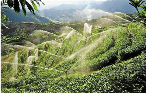  湖南省政府发布推进农业“百千万”工程意见