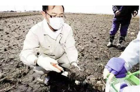  中国土壤调查结果报告：即将爆发癌症群！
