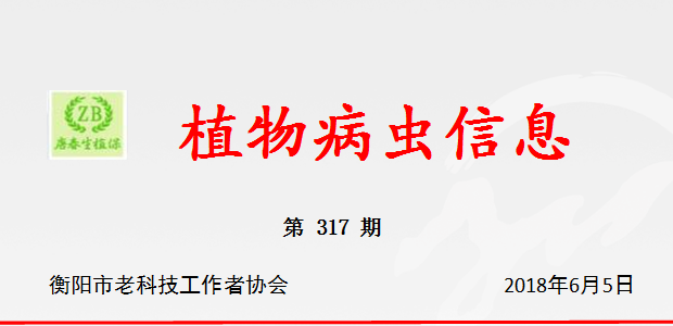 切实加强水稻“两迁”害虫等病虫害防治工作