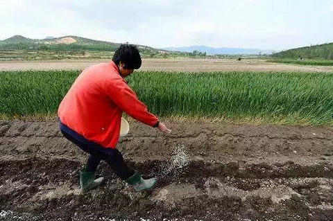 【收藏版】肥料的种类、特性及施用技术