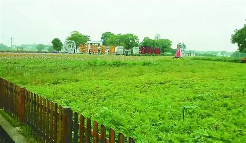 培育新型经营主体是我市未来农业发展的趋势