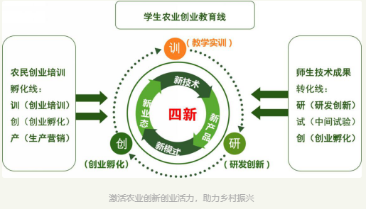 农民创业创新