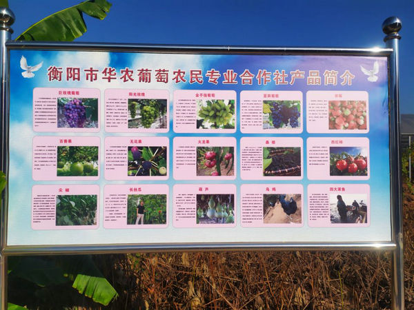 衡阳市老科协“三新技术”基地落户蒸湘区新竹村