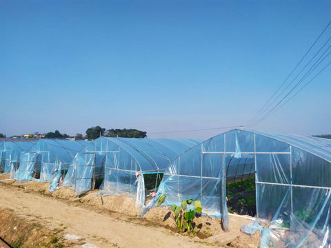 “三新技术”落户示范基地，科技助推特色产业扶贫