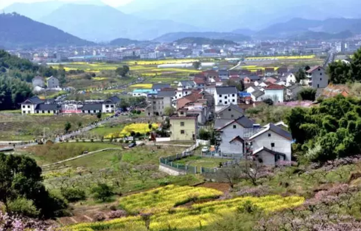 加快农业农村现代化