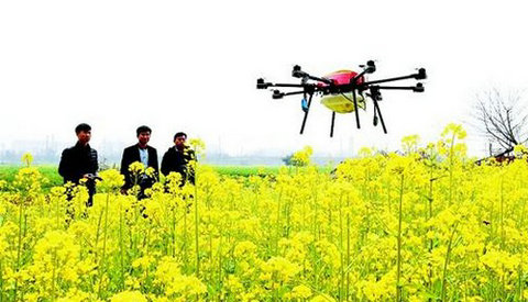 衡阳市切实抓好油菜病虫防治工作